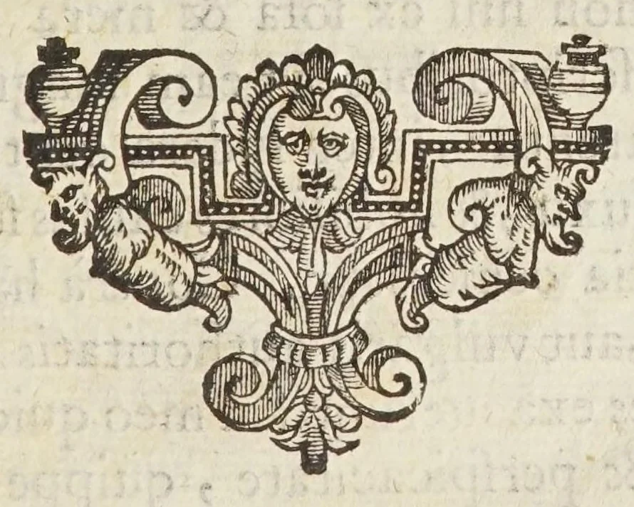 An illustration from Coelestis physiognomoniae libri sex Ioan. Baptistae Portae Neapolitani : vnde quis facile ex humani vultus extima inspectione, poterit ex coniectura futura praesagire : in quibus etiam astrologia refellitur, & inanis, & imaginaria demonstratur, 1603, leaf 9