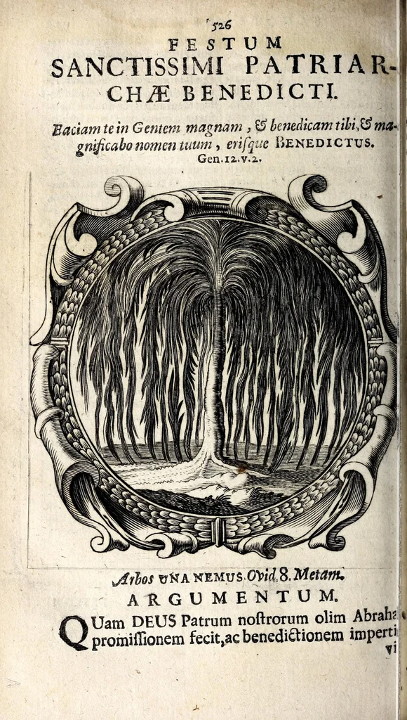 An illustration from Coelum empyreum : non vanis & fictis constellationum monstris belluatum, sed divum domus domini Jesu Christi, ejusque illibatae virginis matris Mariae, sanctorum apostolorum ... splendide illustratum : omnibus verbi Dei ecclesiastis, ad honestos mores, & divinos amores auditorum animis inserendos, morali doctrina, sacra ac profana historia lucubratum, 1669, leaf 556