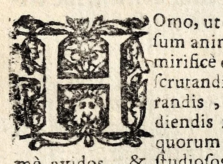 An illustration from Coelum empyreum : non vanis & fictis constellationum monstris belluatum, sed divum domus domini Jesu Christi, ejusque illibatae virginis matris Mariae, sanctorum apostolorum ... splendide illustratum : omnibus verbi Dei ecclesiastis, ad honestos mores, & divinos amores auditorum animis inserendos, morali doctrina, sacra ac profana historia lucubratum, 1669, leaf 734