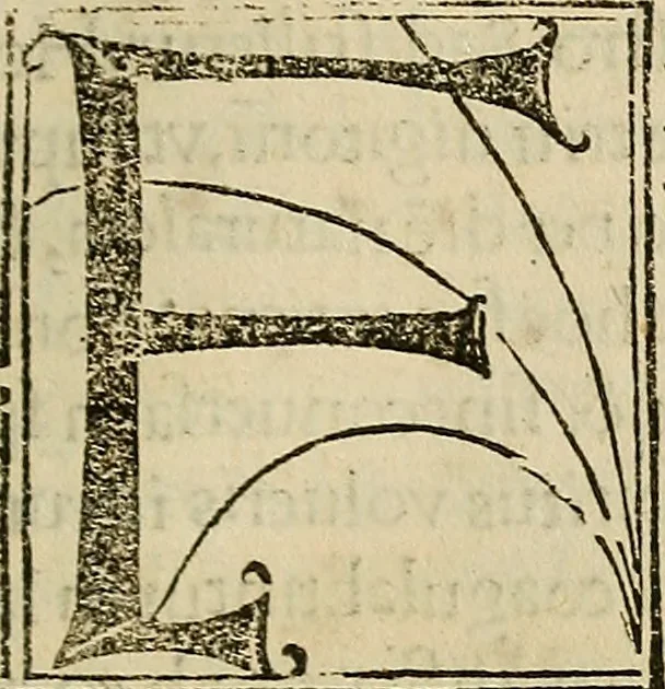 An illustration from Coelum philosophorum seu de secretis naturae liber, 1528, leaf 106