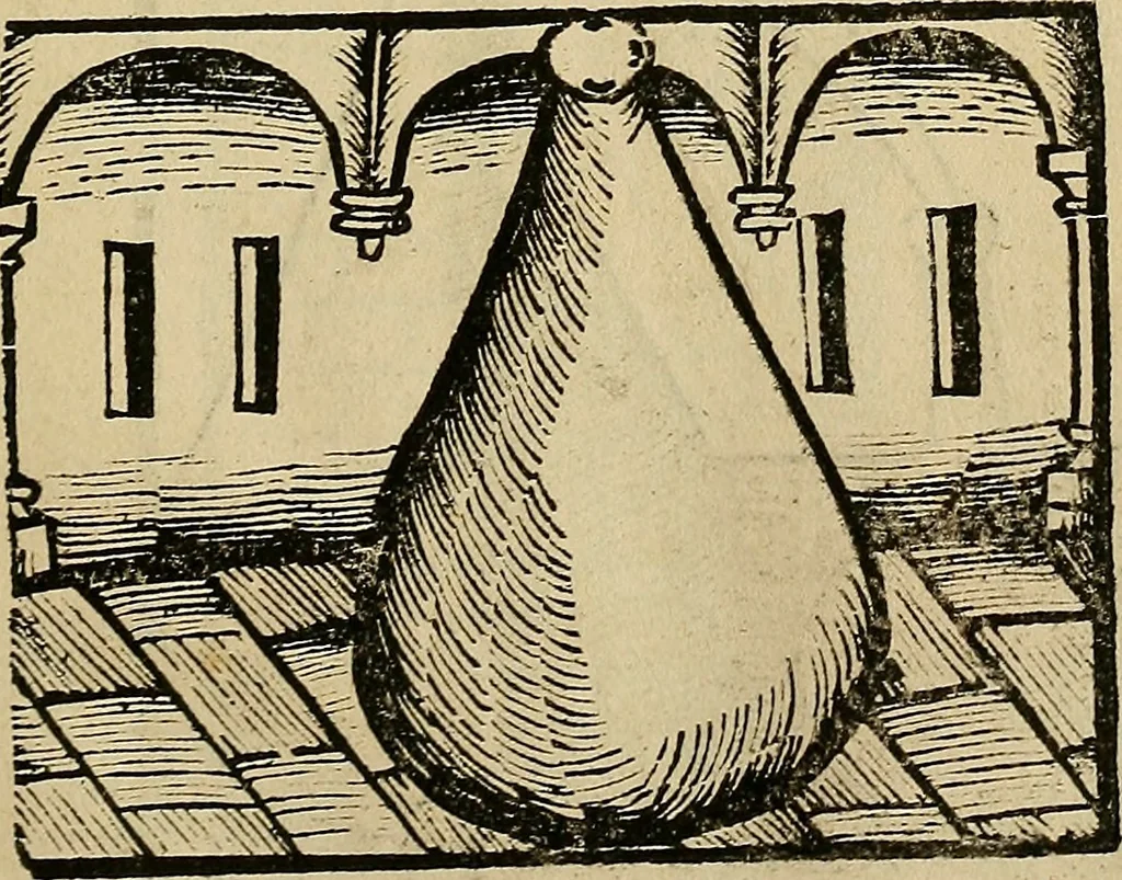 An illustration from Coelum philosophorum seu de secretis naturae liber, 1528, leaf 12