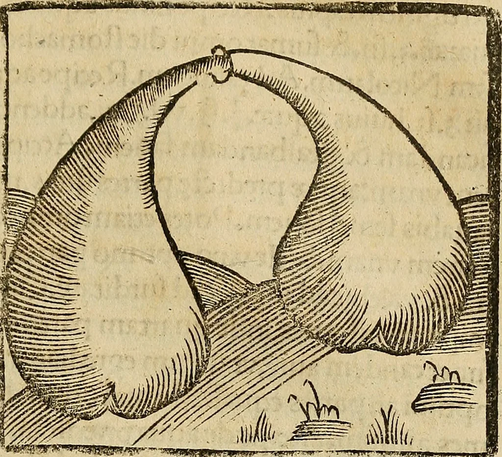 An illustration from Coelum philosophorum seu de secretis naturae liber, 1528, leaf 124
