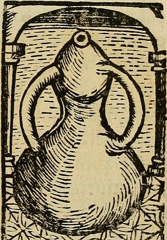 An illustration from Coelum philosophorum seu de secretis naturae liber, 1528, leaf 22