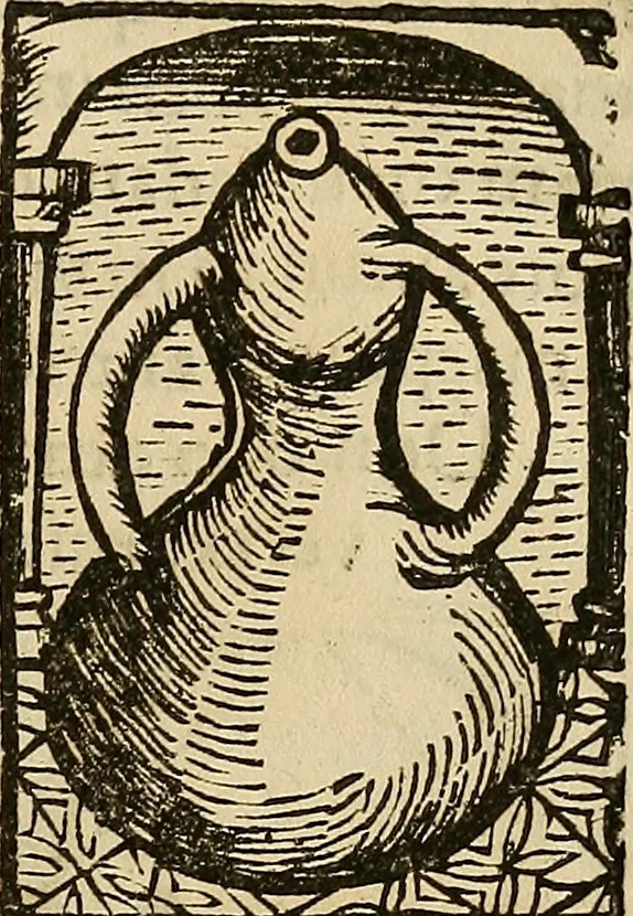 An illustration from Coelum philosophorum seu de secretis naturae liber, 1528, leaf 24