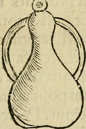 An illustration from Coelum philosophorum seu de secretis naturae liber, 1528, leaf 29