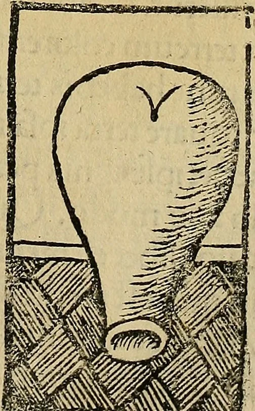 An illustration from Coelum philosophorum seu de secretis naturae liber, 1528, leaf 50