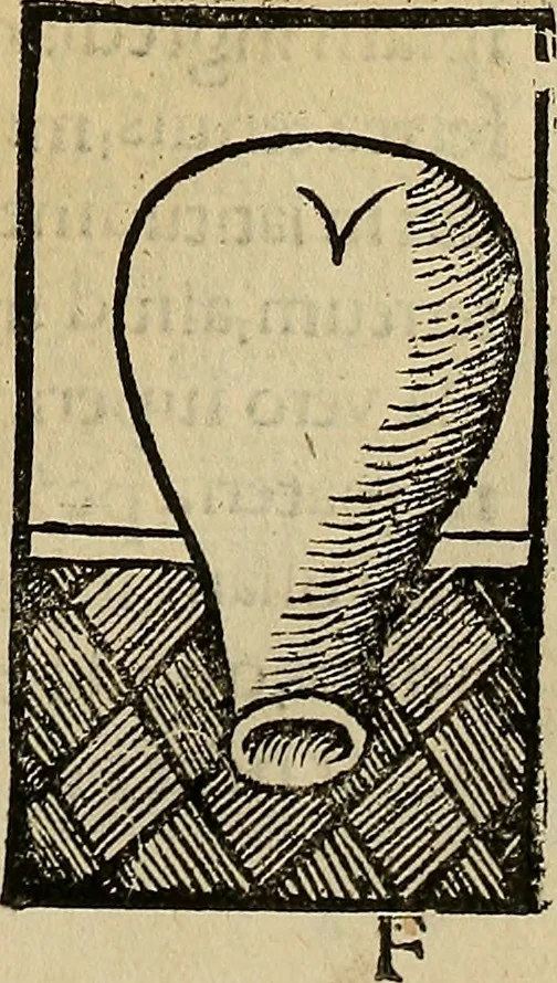 An illustration from Coelum philosophorum seu de secretis naturae liber, 1528, leaf 64