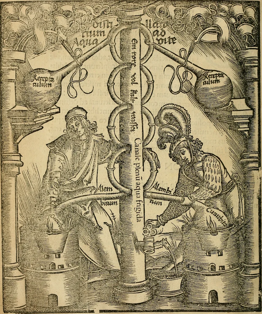 An illustration from Coelum philosophorum seu de secretis naturae liber, 1528, leaf 9