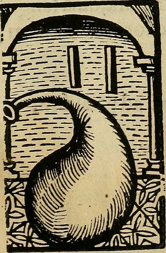 An illustration from Coelum philosophorum seu de secretis naturae liber, 1528, leaf 98