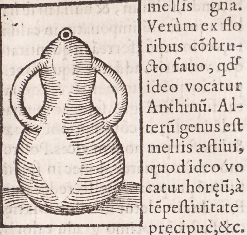 An illustration from Coelum philosophorum, seu, Liber de secretis naturae, 1557, leaf 193