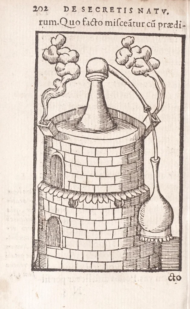 An illustration from Coelum philosophorum, seu, Liber de secretis naturae, 1557, leaf 206