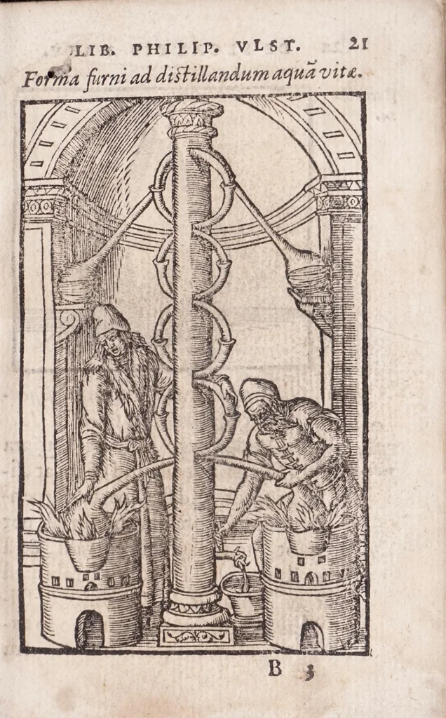 An illustration from Coelum philosophorum, seu, Liber de secretis naturae, 1557, leaf 25