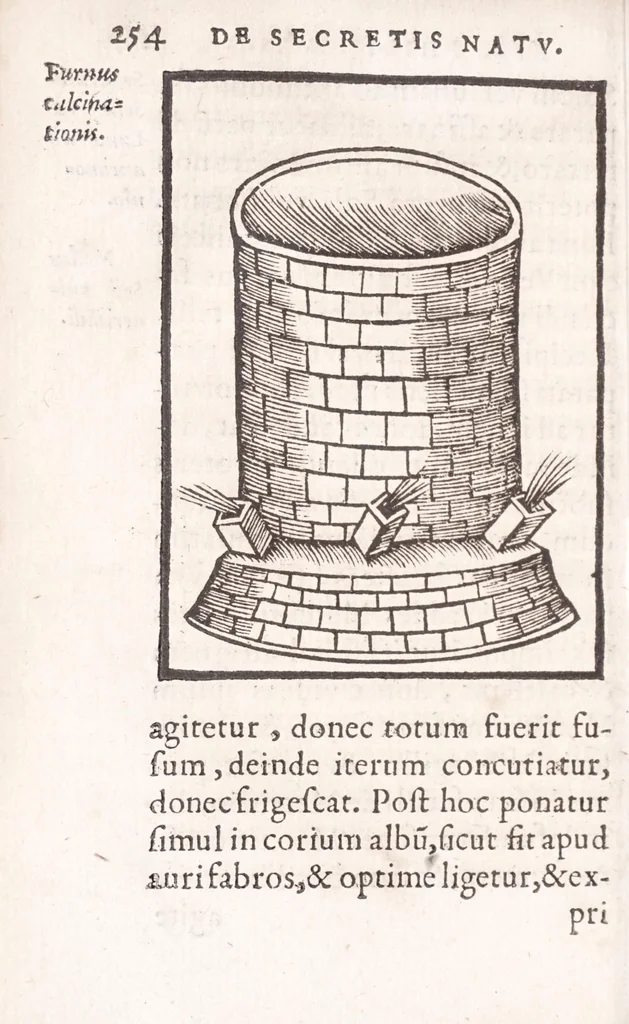 An illustration from Coelum philosophorum, seu, Liber de secretis naturae, 1557, leaf 258