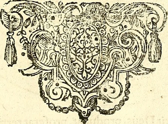 An illustration from Coelum sephiroticum, Hebraeorum, : per portas intelligentiae, Moysi revelatas interiores naturalium rerum characteres ... manifestans, ex vetustissima Hebraica veritate medicinae, chymiae, astronomiae, astrologiae, botanicae, zoologiae, anthropologiae, aliarumque scientiarum nova principia ... explicans ..., 1679, leaf 108