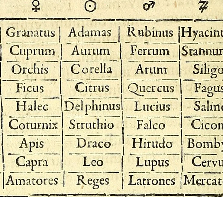 An illustration from Coelum sephiroticum, Hebraeorum, : per portas intelligentiae, Moysi revelatas interiores naturalium rerum characteres ... manifestans, ex vetustissima Hebraica veritate medicinae, chymiae, astronomiae, astrologiae, botanicae, zoologiae, anthropologiae, aliarumque scientiarum nova principia ... explicans ..., 1679, leaf 19