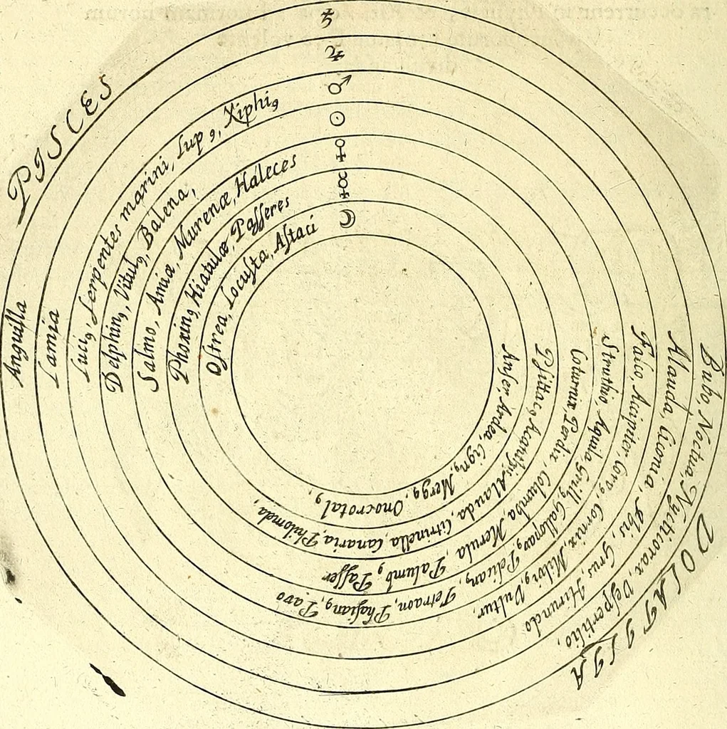 An illustration from Coelum sephiroticum, Hebraeorum, : per portas intelligentiae, Moysi revelatas interiores naturalium rerum characteres ... manifestans, ex vetustissima Hebraica veritate medicinae, chymiae, astronomiae, astrologiae, botanicae, zoologiae, anthropologiae, aliarumque scientiarum nova principia ... explicans ..., 1679, leaf 95
