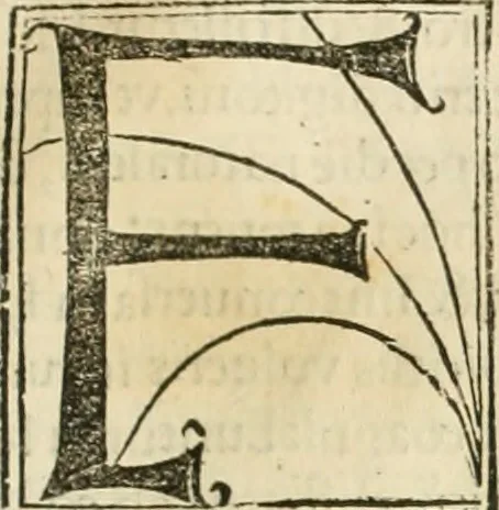 An illustration from Coelvm philosophorvm, sev, De secretis naturae liber, 1528, leaf 106