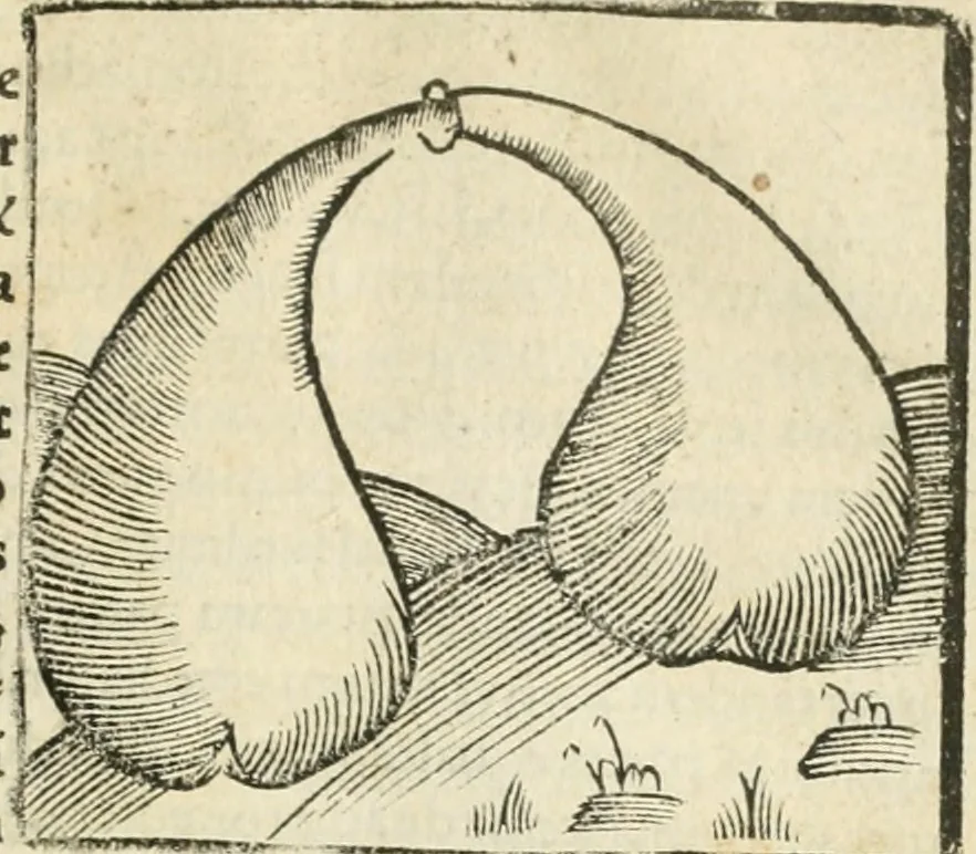 An illustration from Coelvm philosophorvm, sev, De secretis naturae liber, 1528, leaf 124