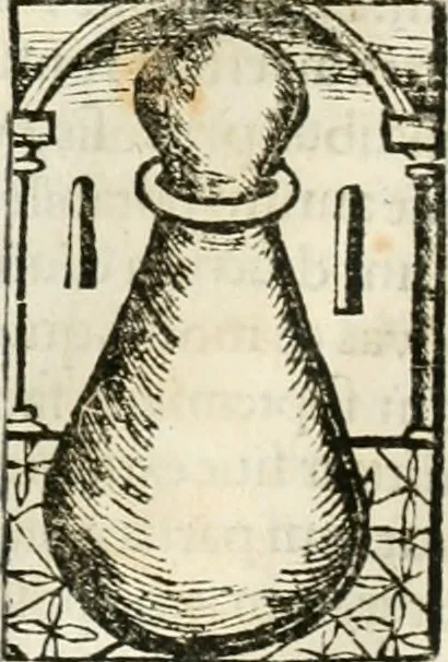 An illustration from Coelvm philosophorvm, sev, De secretis naturae liber, 1528, leaf 21