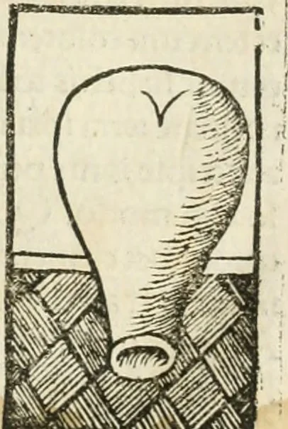 An illustration from Coelvm philosophorvm, sev, De secretis naturae liber, 1528, leaf 50