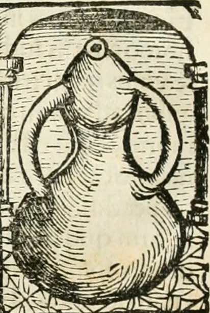 An illustration from Coelvm philosophorvm, sev, De secretis naturae liber, 1528, leaf 55