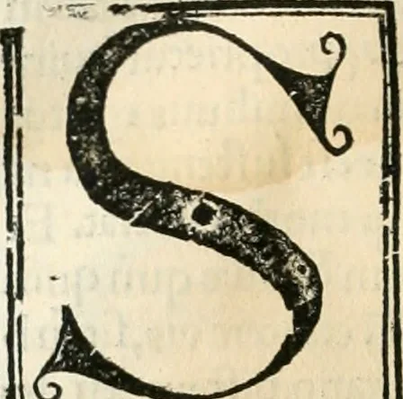 An illustration from Coelvm philosophorvm, sev, De secretis naturae liber, 1528, leaf 57