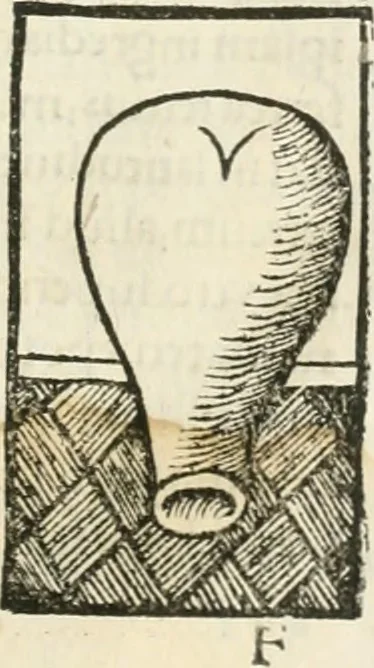 An illustration from Coelvm philosophorvm, sev, De secretis naturae liber, 1528, leaf 64