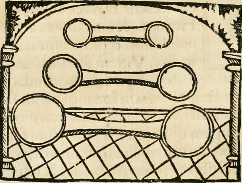 An illustration from Coelvm philosophorvm, sev, De secretis naturae liber, 1528, leaf 67