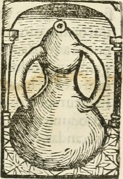 An illustration from Coelvm philosophorvm, sev, De secretis naturae liber, 1528, leaf 68