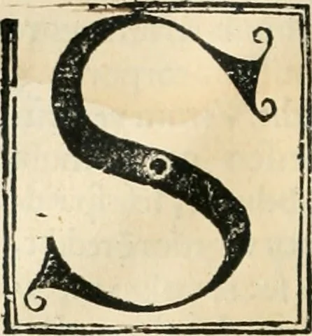 An illustration from Coelvm philosophorvm, sev, De secretis naturae liber, 1528, leaf 7