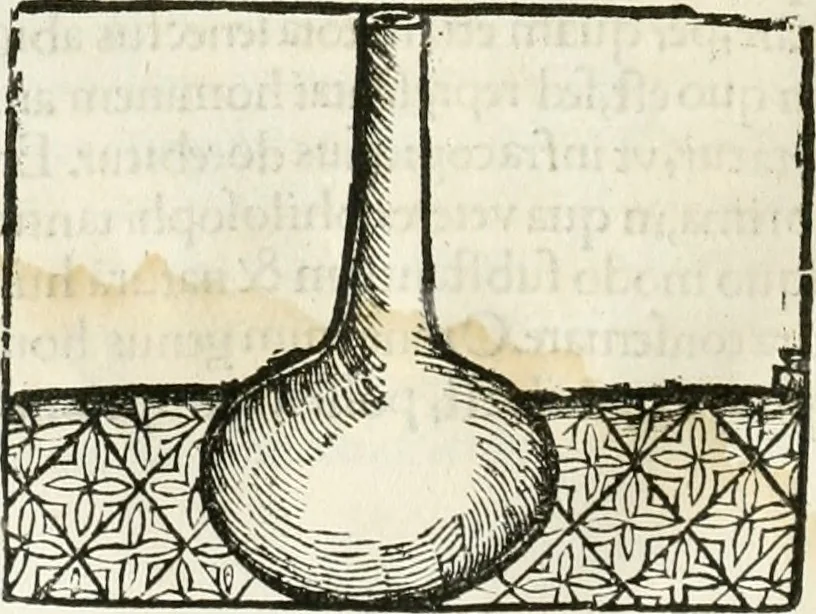 An illustration from Coelvm philosophorvm, sev, De secretis naturae liber, 1528, leaf 71