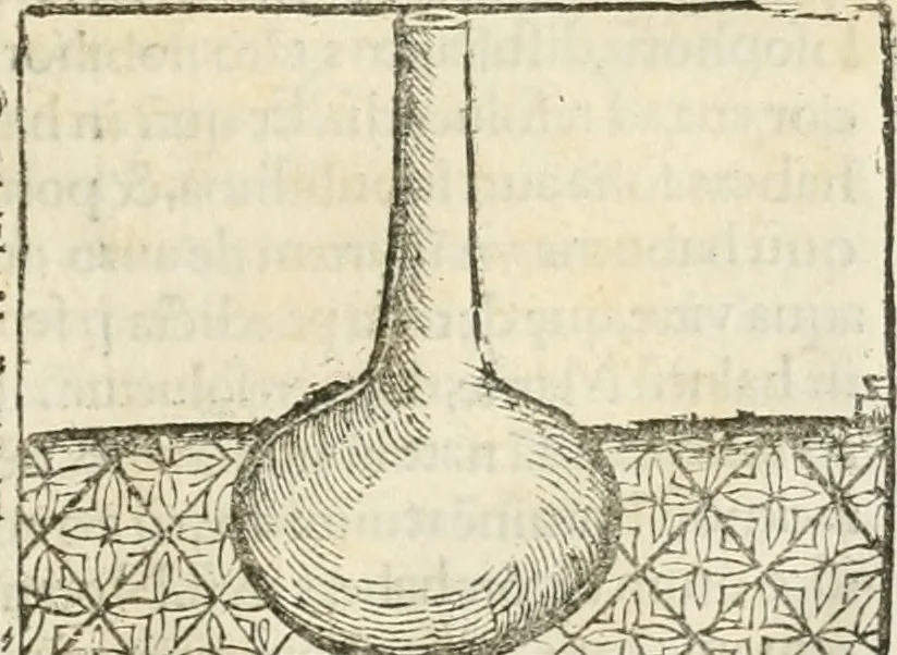An illustration from Coelvm philosophorvm, sev, De secretis naturae liber, 1528, leaf 76