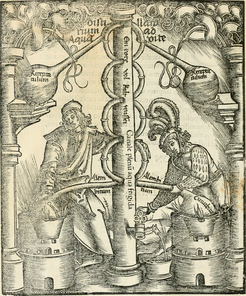 An illustration from Coelvm philosophorvm, sev, De secretis naturae liber, 1528, leaf 9