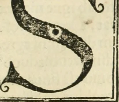 An illustration from Coelvm philosophorvm, sev, De secretis naturae liber, 1528, leaf 98