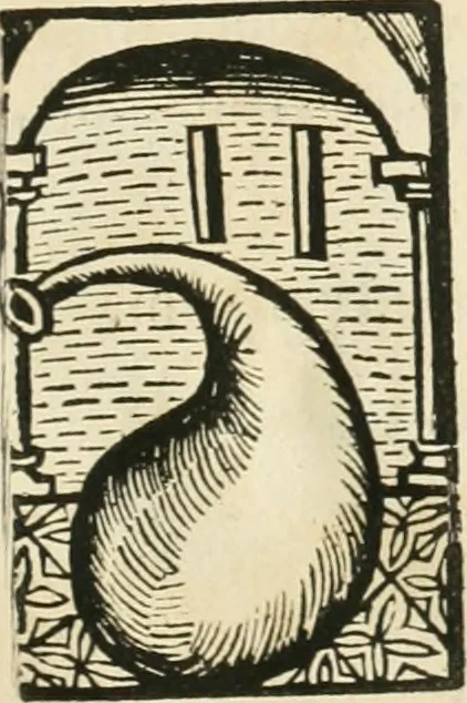 An illustration from Coelvm philosophorvm, sev, De secretis naturae liber, 1528, leaf 98