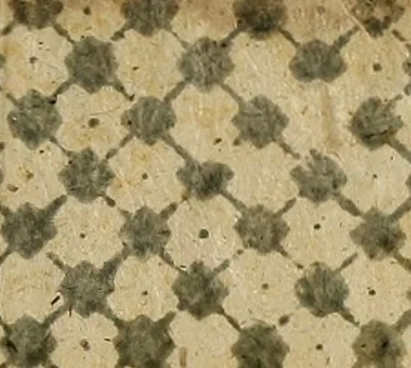 An illustration from Cognoscite lilia agri quomodo crescant, 1614, leaf 148