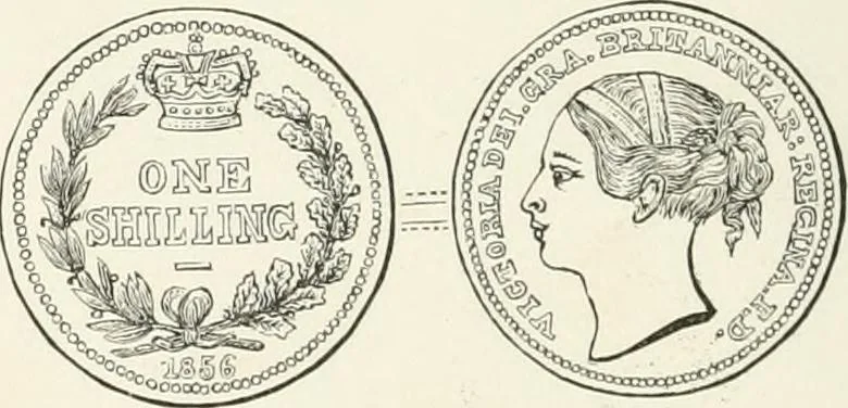 An illustration from The coin book, comprising a history of coinage; a synopsis of the mint laws of the United States; statistics of the coinage from 1792 to 1870; list of current gold and silver coins, and their custom house values; a dictionary of all coins known in ancient and modern times, with their values; the gold and silver product of each state to 1870; list of works on coinage; the daily price of gold from 1862 to 1871. With engravings of the principal coins, 1872, leaf 187