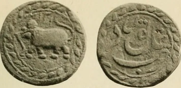 An illustration from The coins of Haidar Ali and Tipu Sultan, 1921, leaf 156
