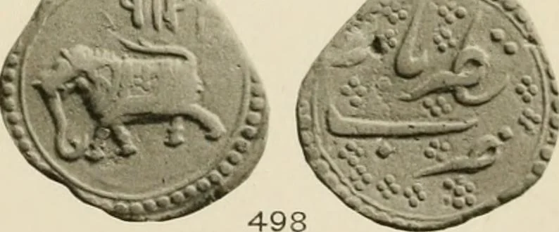 An illustration from The coins of Haidar Ali and Tipu Sultan, 1921, leaf 156