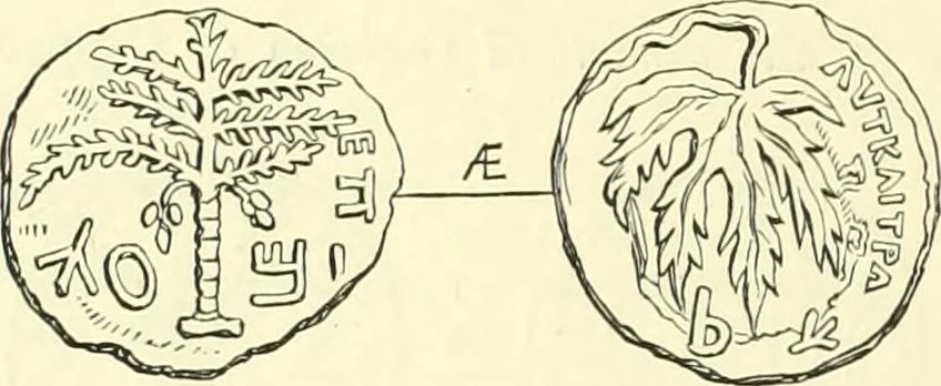 An illustration from Coins of the Jews, 1881, leaf 257