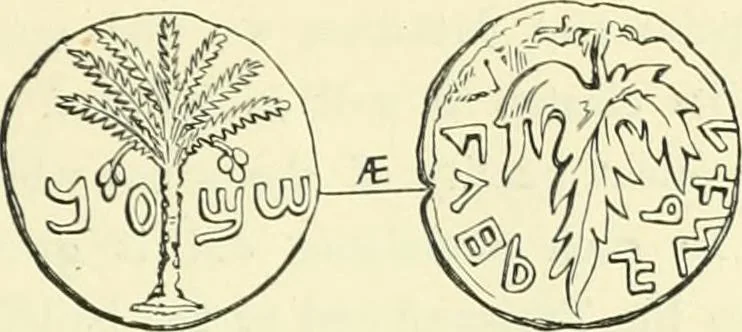 An illustration from Coins of the Jews, 1881, leaf 262
