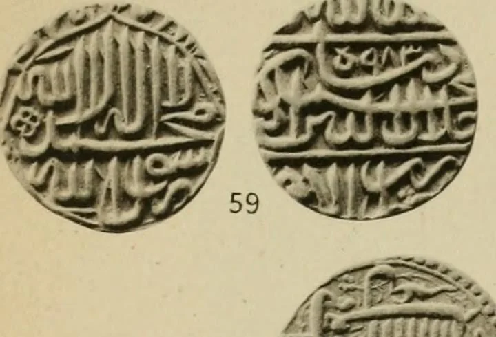 An illustration from The coins of the Moghul emperors of Hindustan in the British museum, 1892, leaf 570