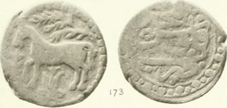 An illustration from The coins of the sháhs of Persia, Safavis, Afgháns, Efsháris, Zands, and Kájárs, 1887, leaf 480