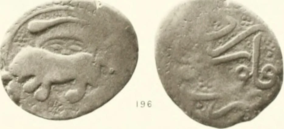An illustration from The coins of the sháhs of Persia, Safavis, Afgháns, Efsháris, Zands, and Kájárs, 1887, leaf 480