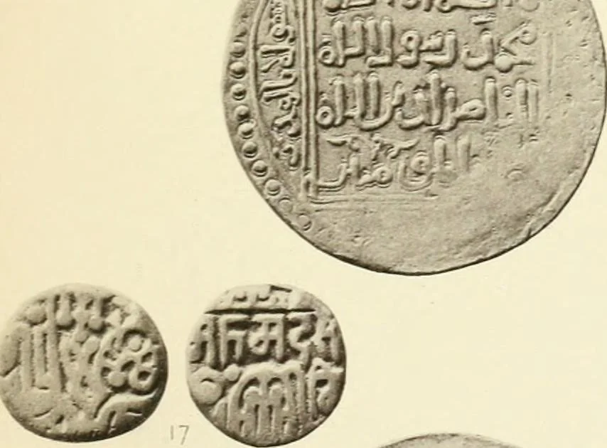 An illustration from The coins of the sultáns of Delhi in the British museum, 1884, leaf 250