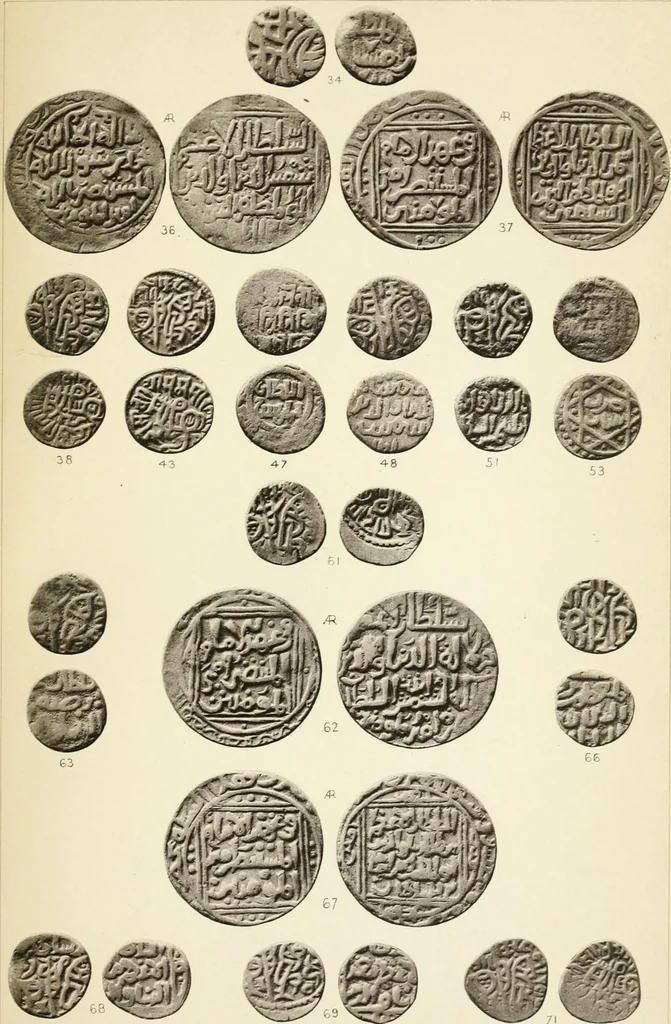 An illustration from The coins of the sultáns of Delhi in the British museum, 1884, leaf 252