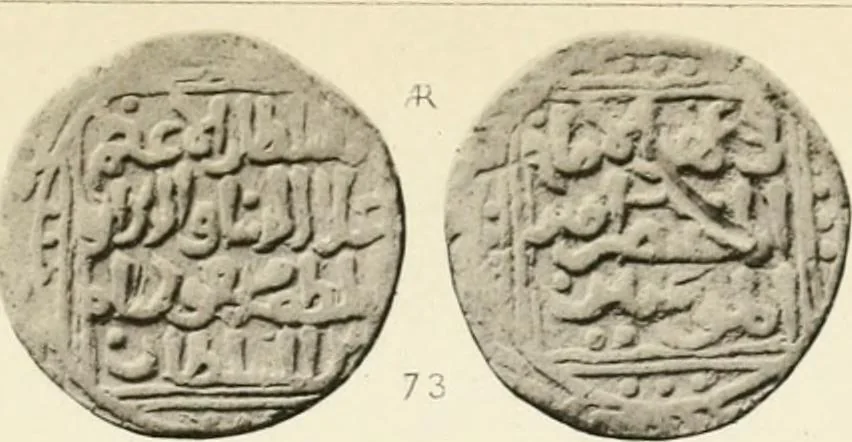 An illustration from The coins of the sultáns of Delhi in the British museum, 1884, leaf 254
