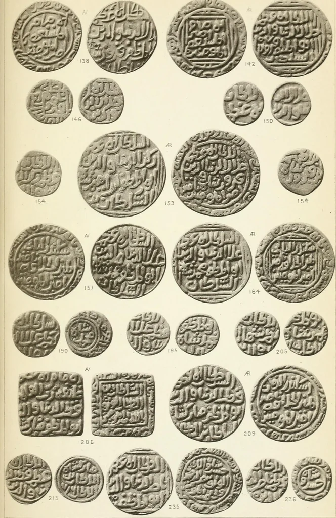 An illustration from The coins of the sultáns of Delhi in the British museum, 1884, leaf 256