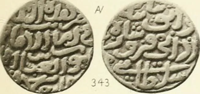 An illustration from The coins of the sultáns of Delhi in the British museum, 1884, leaf 260