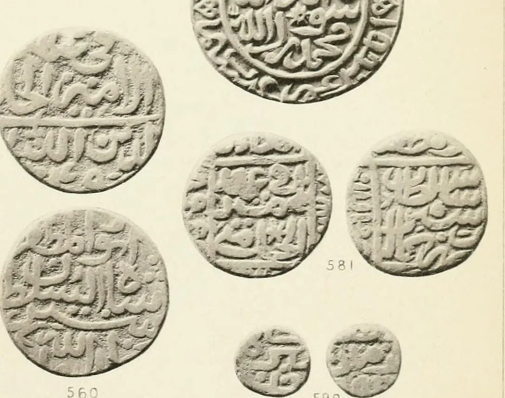 An illustration from The coins of the sultáns of Delhi in the British museum, 1884, leaf 264